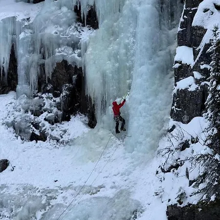 Tveitopark B
