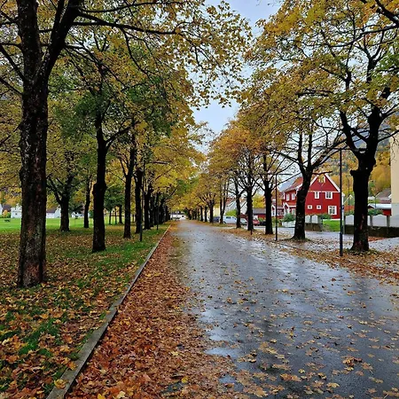 Tveitopark No 2 公寓 尤坎